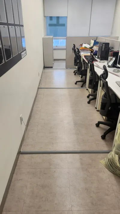 새 랜선 작업 및 몰딩시공